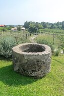 Monaci delle Terre Nere