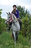 Monaci delle Terre Nere