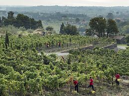 Monaci delle Terre Nere