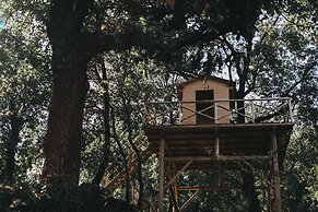 Monaci delle Terre Nere