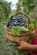 Monaci delle Terre Nere