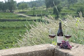 Monaci delle Terre Nere