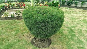 Fern Court Apartment With Oceanic View