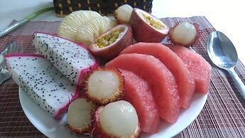 Green Coco Homestay Hoi An