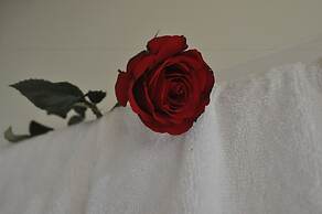 Green Coco Homestay Hoi An