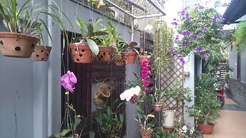 Green Coco Homestay Hoi An