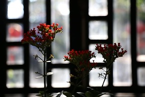 Green Coco Homestay Hoi An