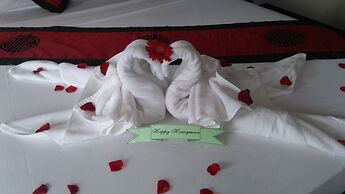 Green Coco Homestay Hoi An