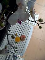 Green Coco Homestay Hoi An