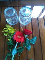 Green Coco Homestay Hoi An