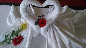 Green Coco Homestay Hoi An