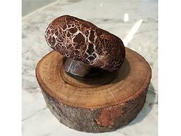 Madera Residence Siracha