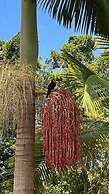 Eco-Residencial Dona Francisca
