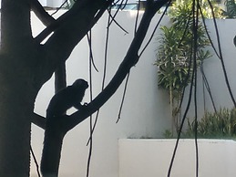 Marulhos Resort Studios Para Temporada