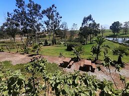 Ibis Place Guest House