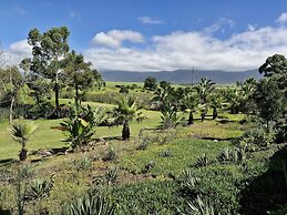 Ibis Place Guest House