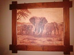 Ibis Place Guest House