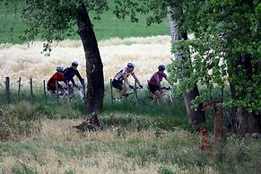 Surval Boutique Olive Estate