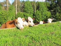 Rolling Hills Country Stay B&B