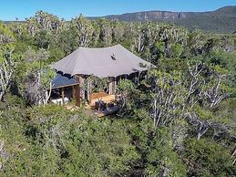 Kariega Game Reserve Settlers Drift