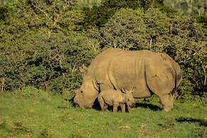 Kariega Game Reserve Settlers Drift