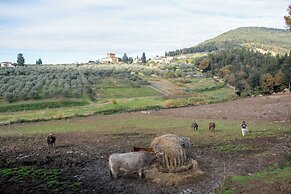 Fattoria di Maiano
