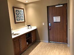 Hampton Inn & Suites Tampa Busch Gardens Area