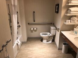 Hampton Inn & Suites Tampa Busch Gardens Area