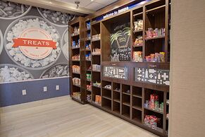 Hampton Inn & Suites Tampa Busch Gardens Area