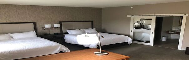 Hampton Inn & Suites Tampa Busch Gardens Area