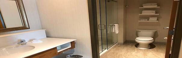 Hampton Inn & Suites Tampa Busch Gardens Area