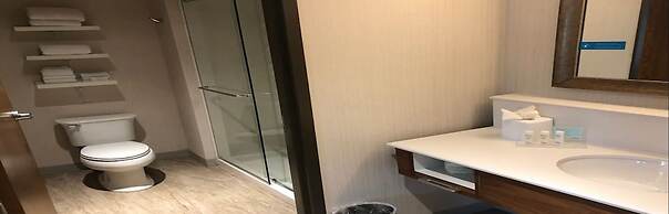 Hampton Inn & Suites Tampa Busch Gardens Area