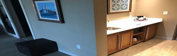 Hampton Inn & Suites Tampa Busch Gardens Area