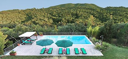 Halma - Nature & Sea