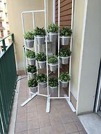 Domus Mea- Adults Only