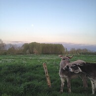 La Ferme des Isles