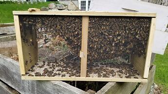 The Farmstand Bed & Breakfast