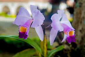 Hotel El Castillo Chinauta