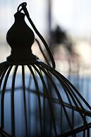 Departamento Céntrico Guadalajara