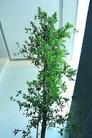 Departamento Céntrico Guadalajara