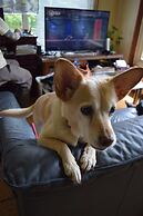 Pension Mountain Jam