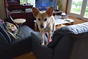 Pension Mountain Jam