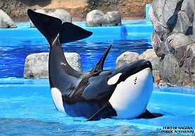 Richmond Hotel Nagoya Shinkansenguchi