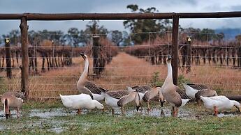 The Farmhouse at Blue Wren Wines