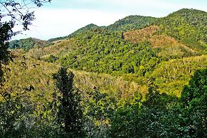 Chestnut Hill Eco Resort