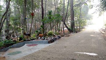 Chestnut Hill Eco Resort