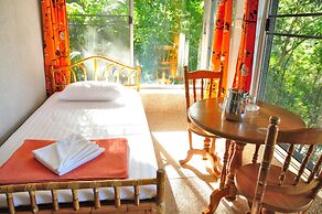 Chestnut Hill Eco Resort