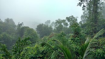 Chestnut Hill Eco Resort