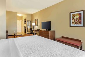 Best Western Plus Chandler Hotel & Suites