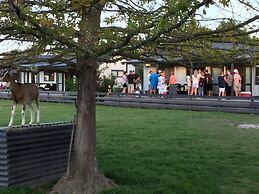 Cottages on St Andrews